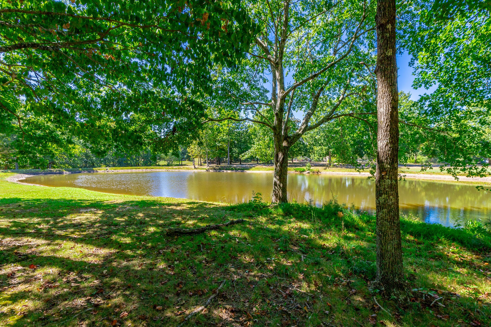9013 Brow Lake Road Property Photo 71