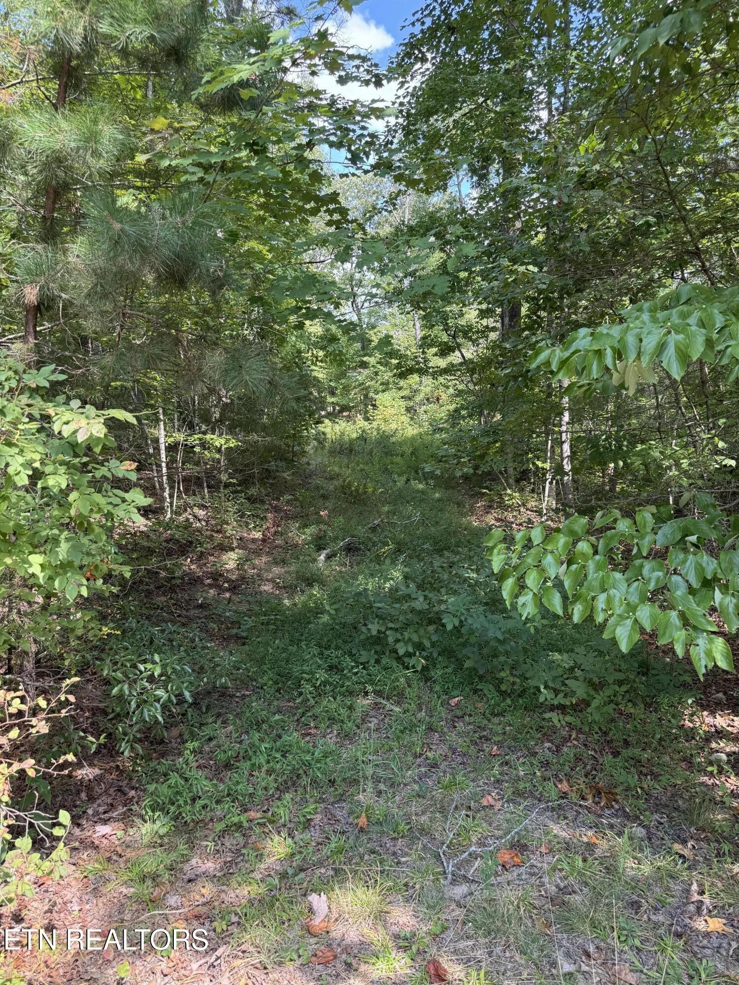 0 Cliffmont Property Photo 5