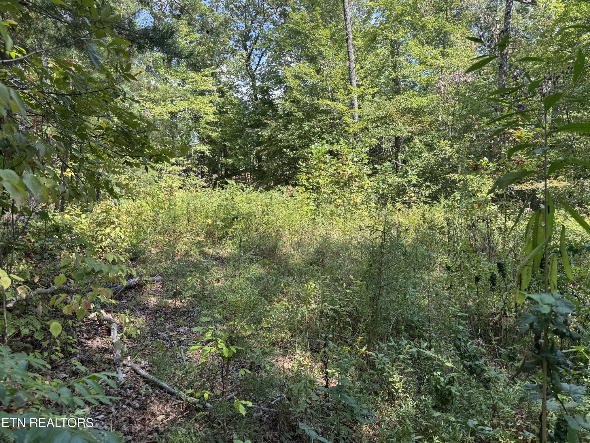 0 Cliffmont Property Photo 6