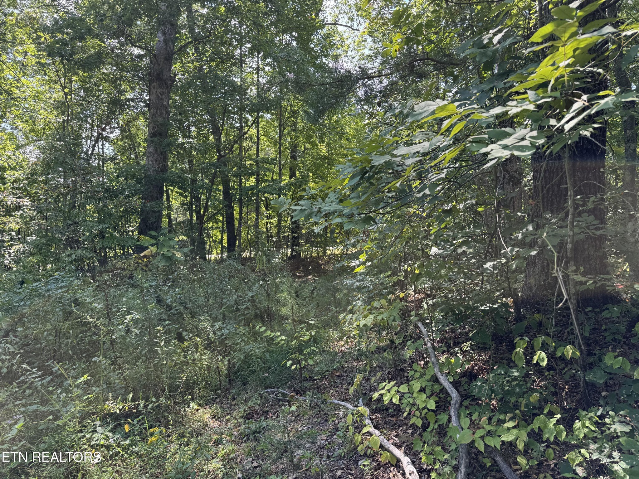0 Cliffmont Property Photo 7