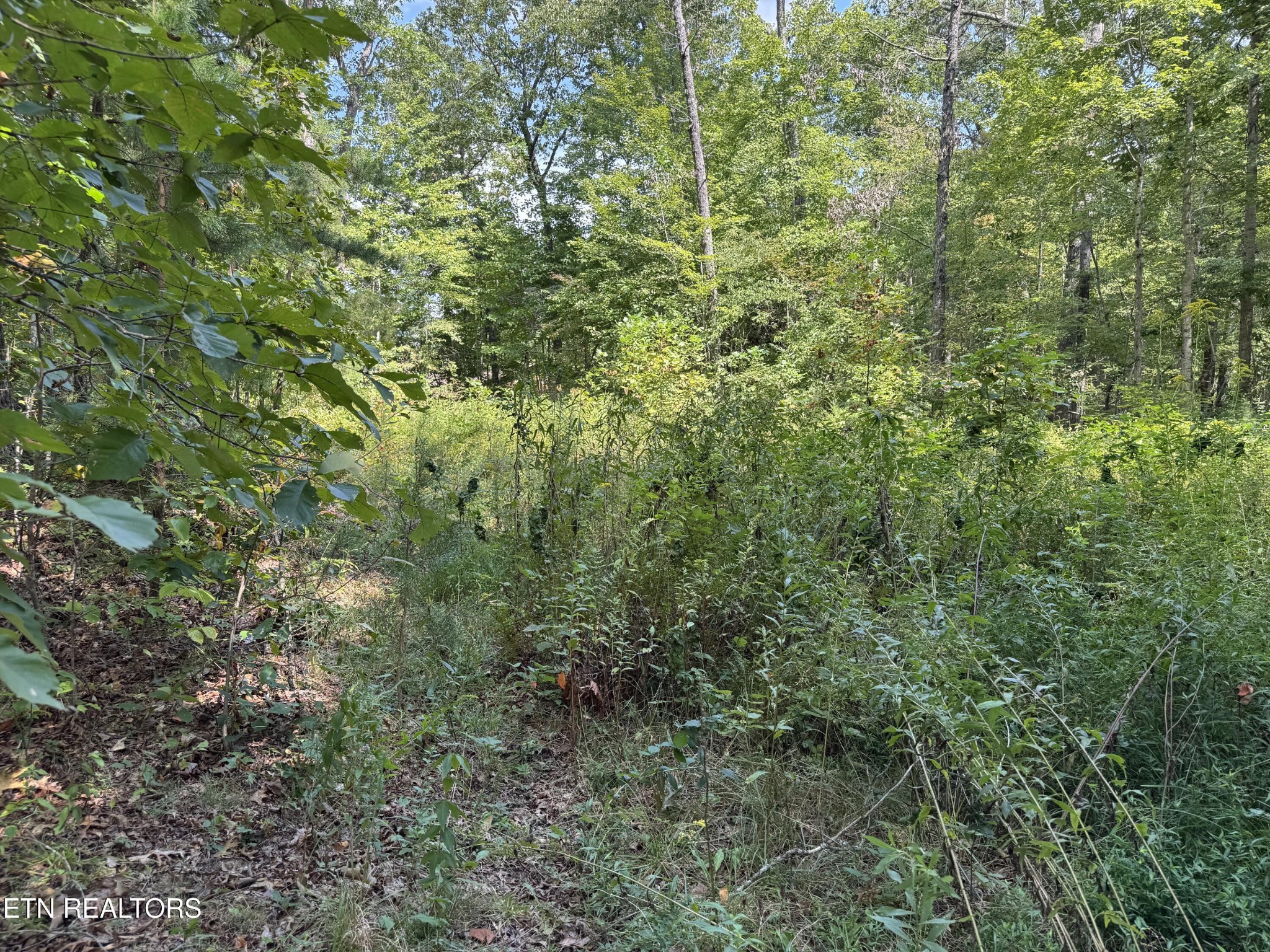 0 Cliffmont Property Photo 8