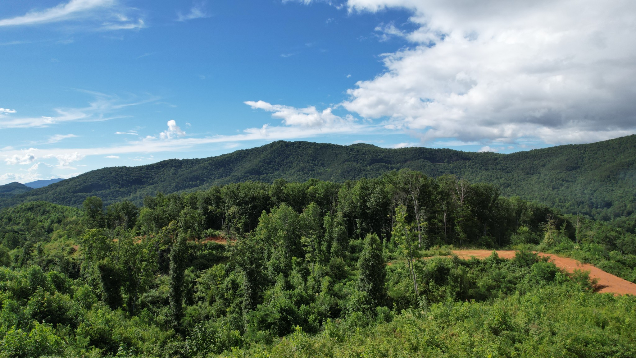 433 Ridge Creek Way Property Photo 18
