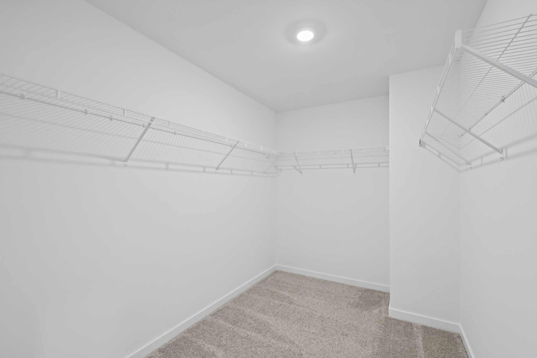 2259 Steiner Way Property Photo 19