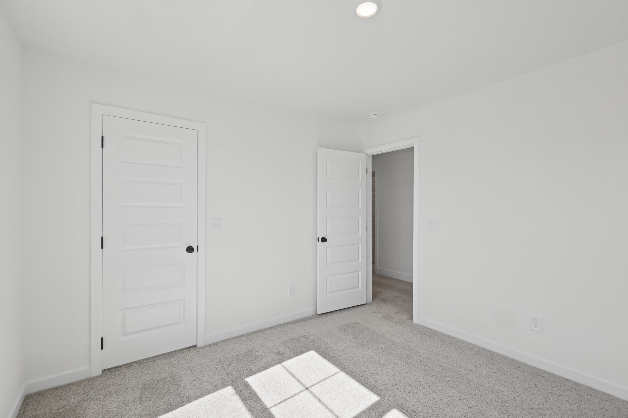 2259 Steiner Way Property Photo 24