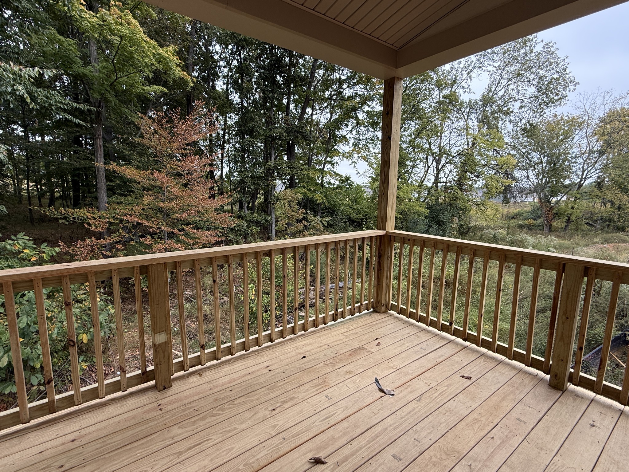 241 Hampshire Way Property Photo 4
