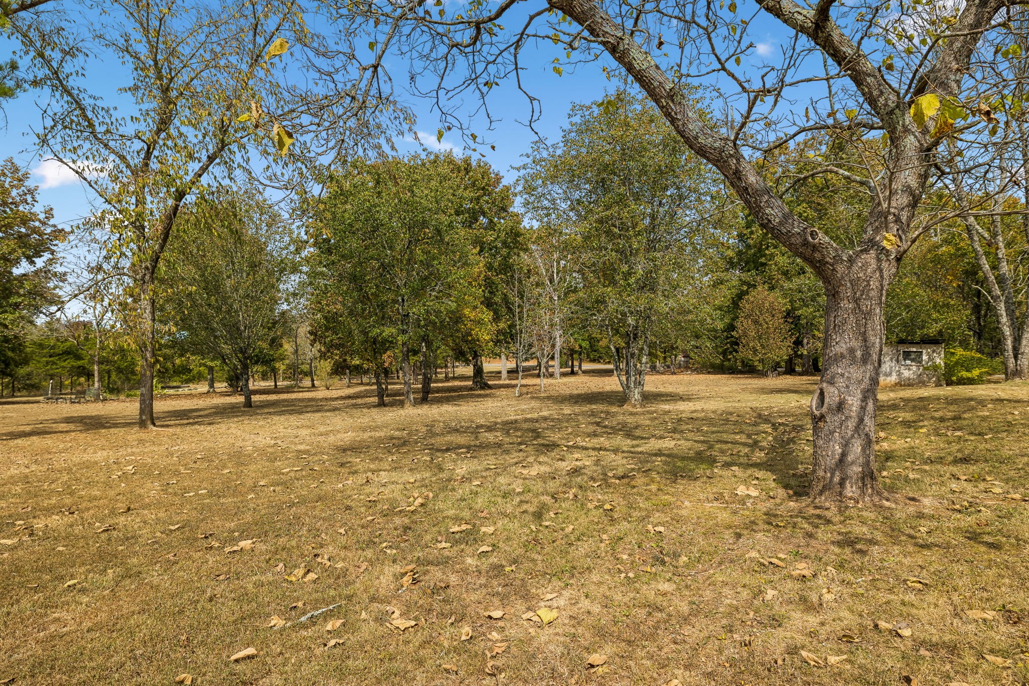 876 Gwynn Rd Property Photo 45