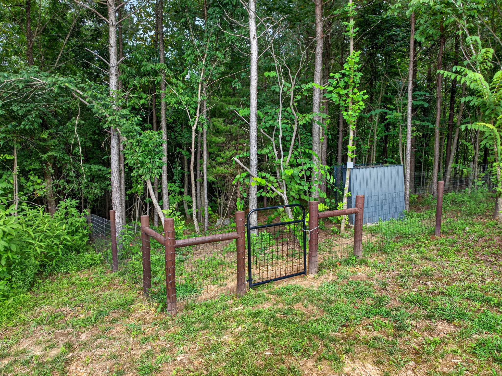 3931 Hwy 231 Property Photo 67