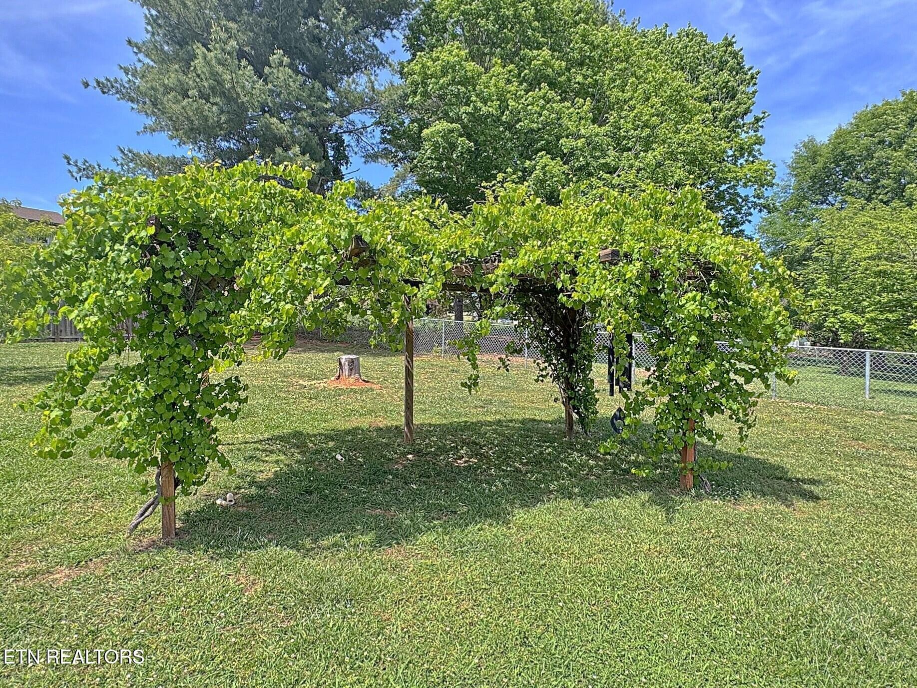 3633 Southfork Place Property Photo 11