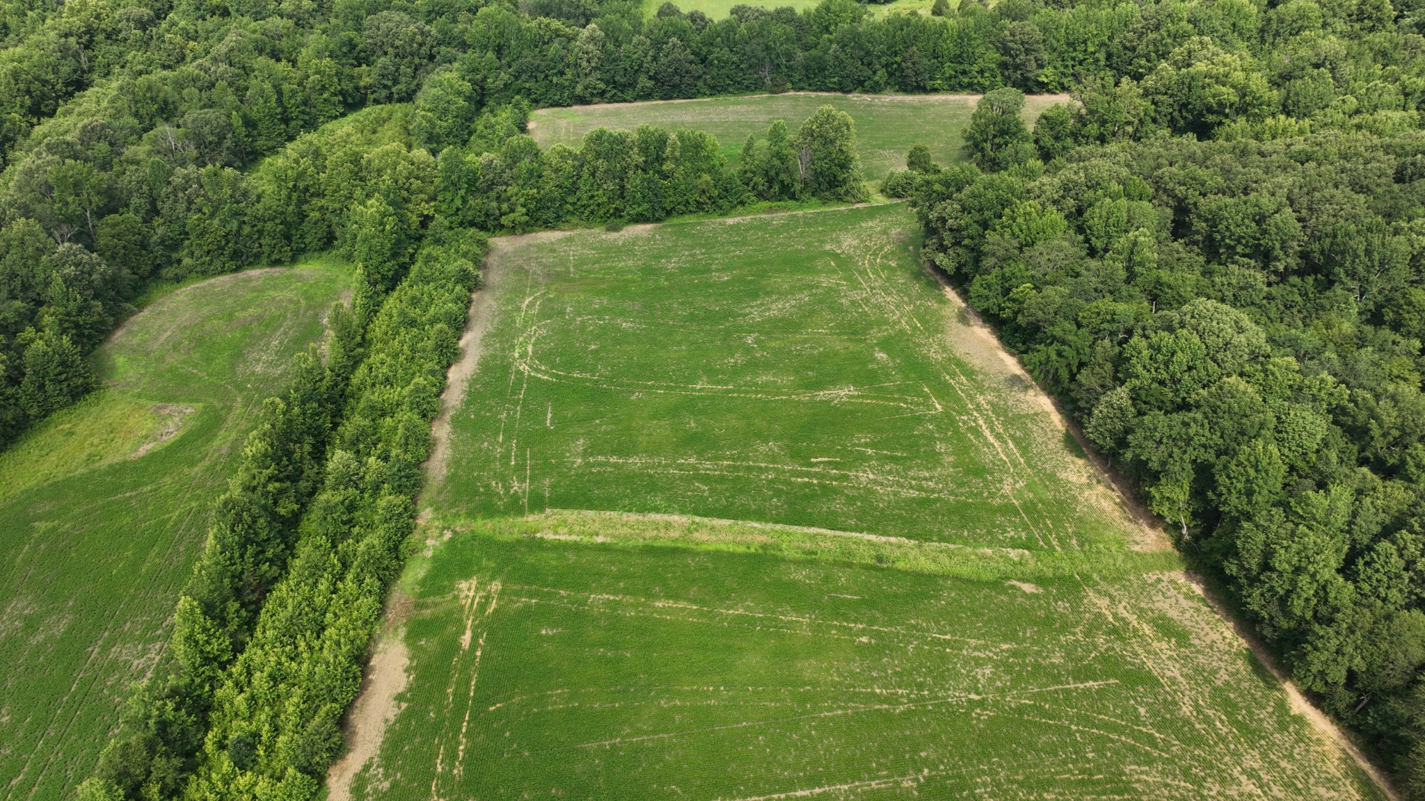 9601 Old Mayfield Road Property Photo 3