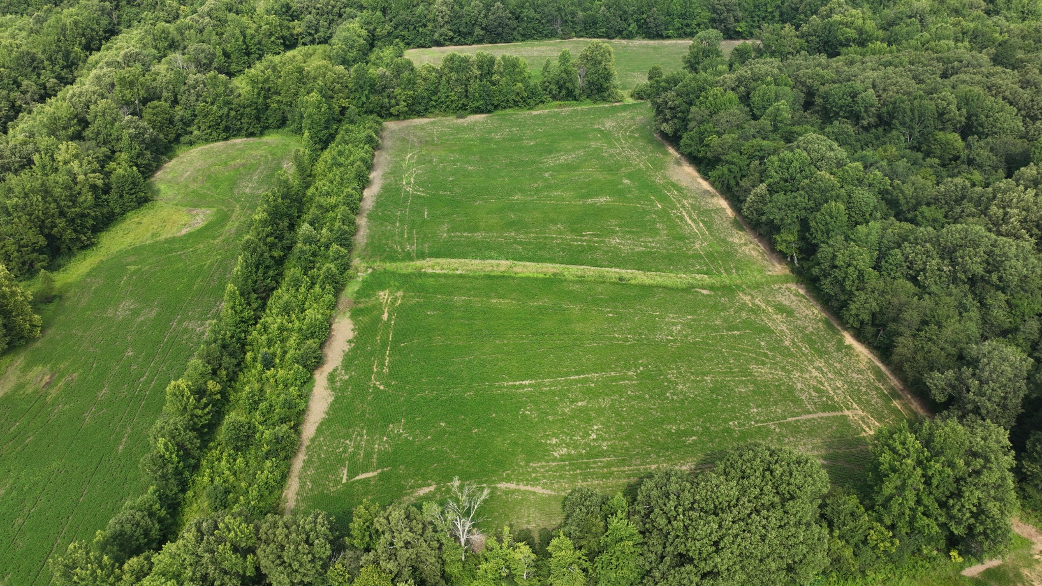 9601 Old Mayfield Road Property Photo 4