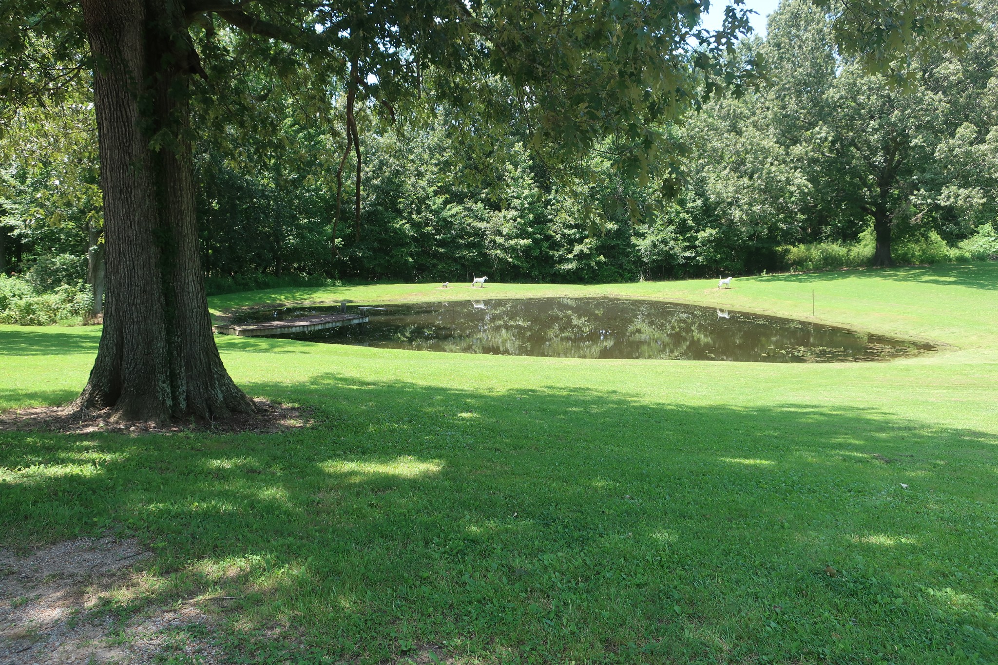 9601 Old Mayfield Road Property Photo 13