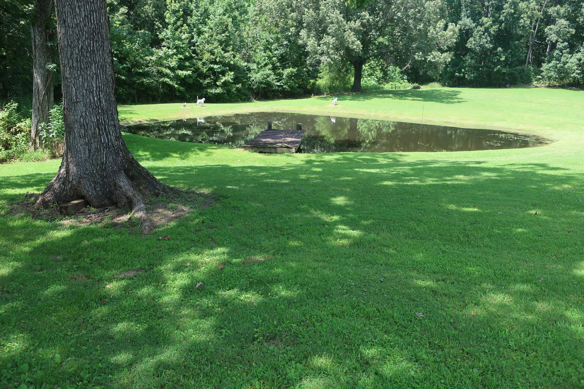 9601 Old Mayfield Road Property Photo 17