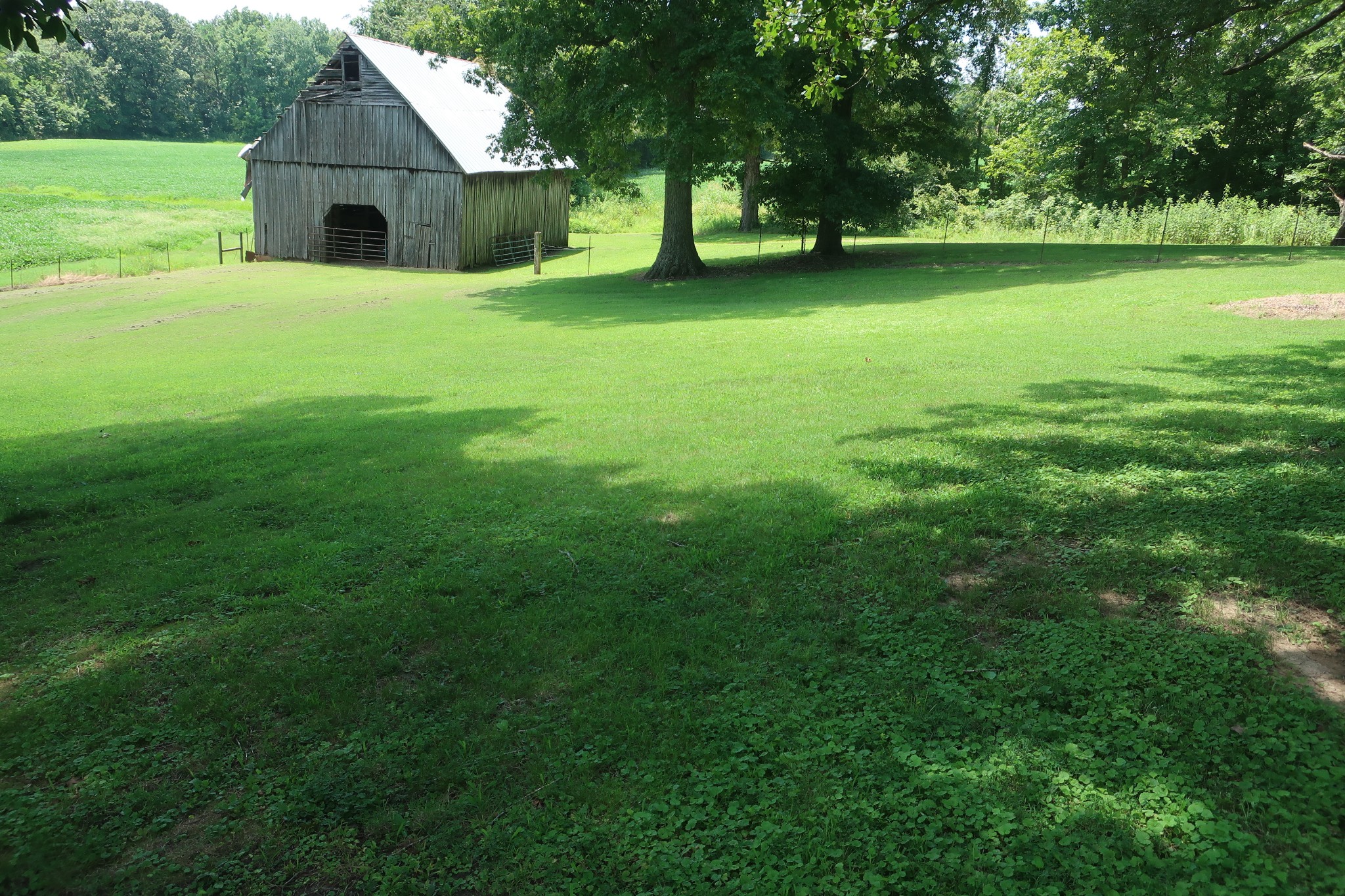 9601 Old Mayfield Road Property Photo 22