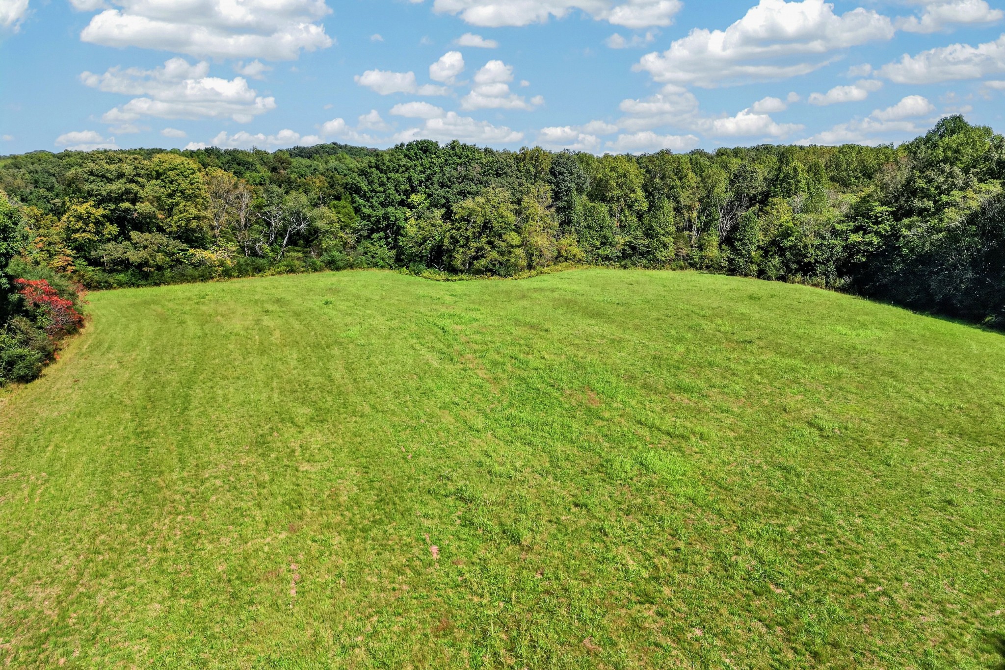 0 Elmore Town Road Property Photo 5