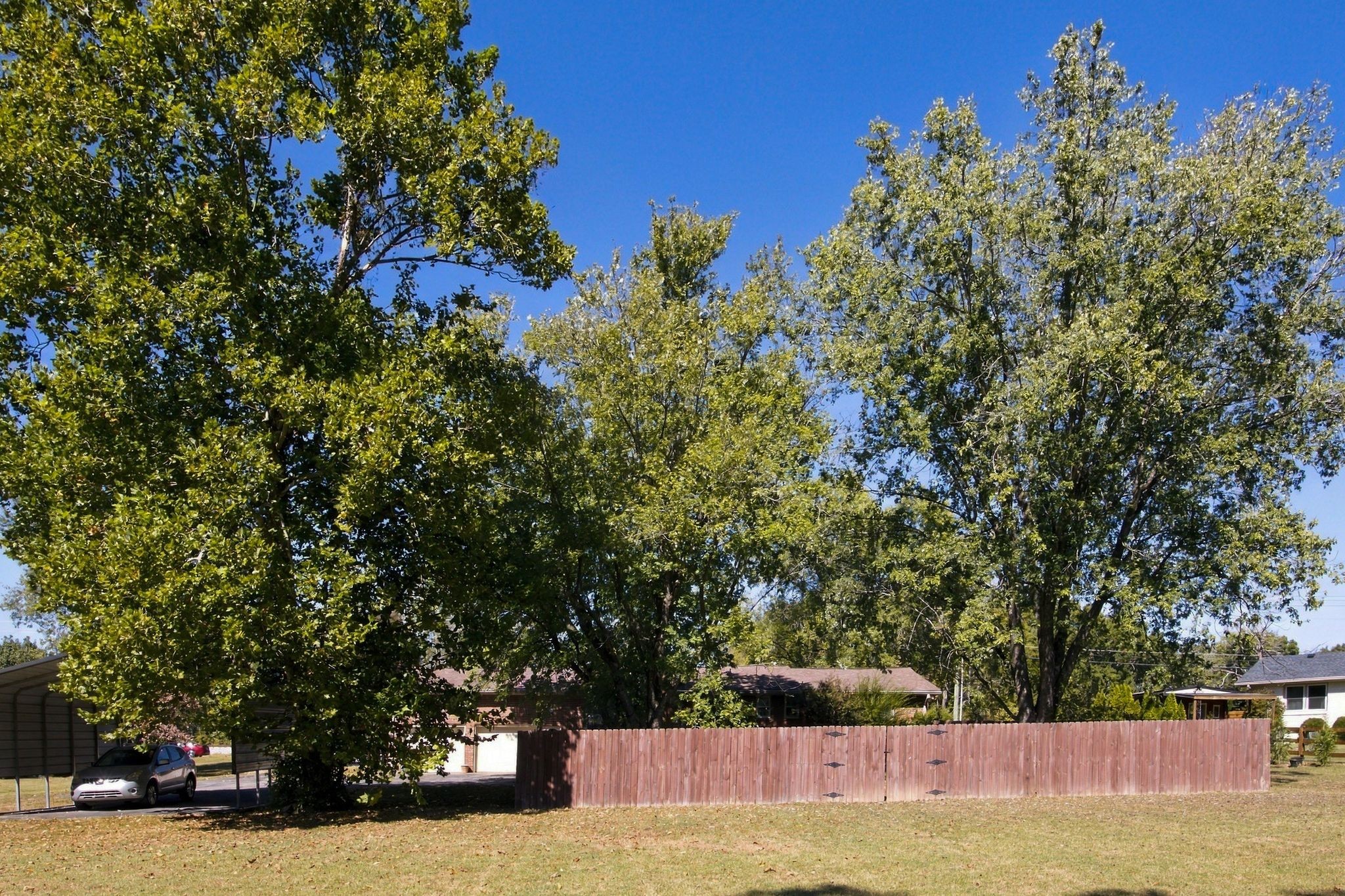 1365 W Division St Property Photo 28