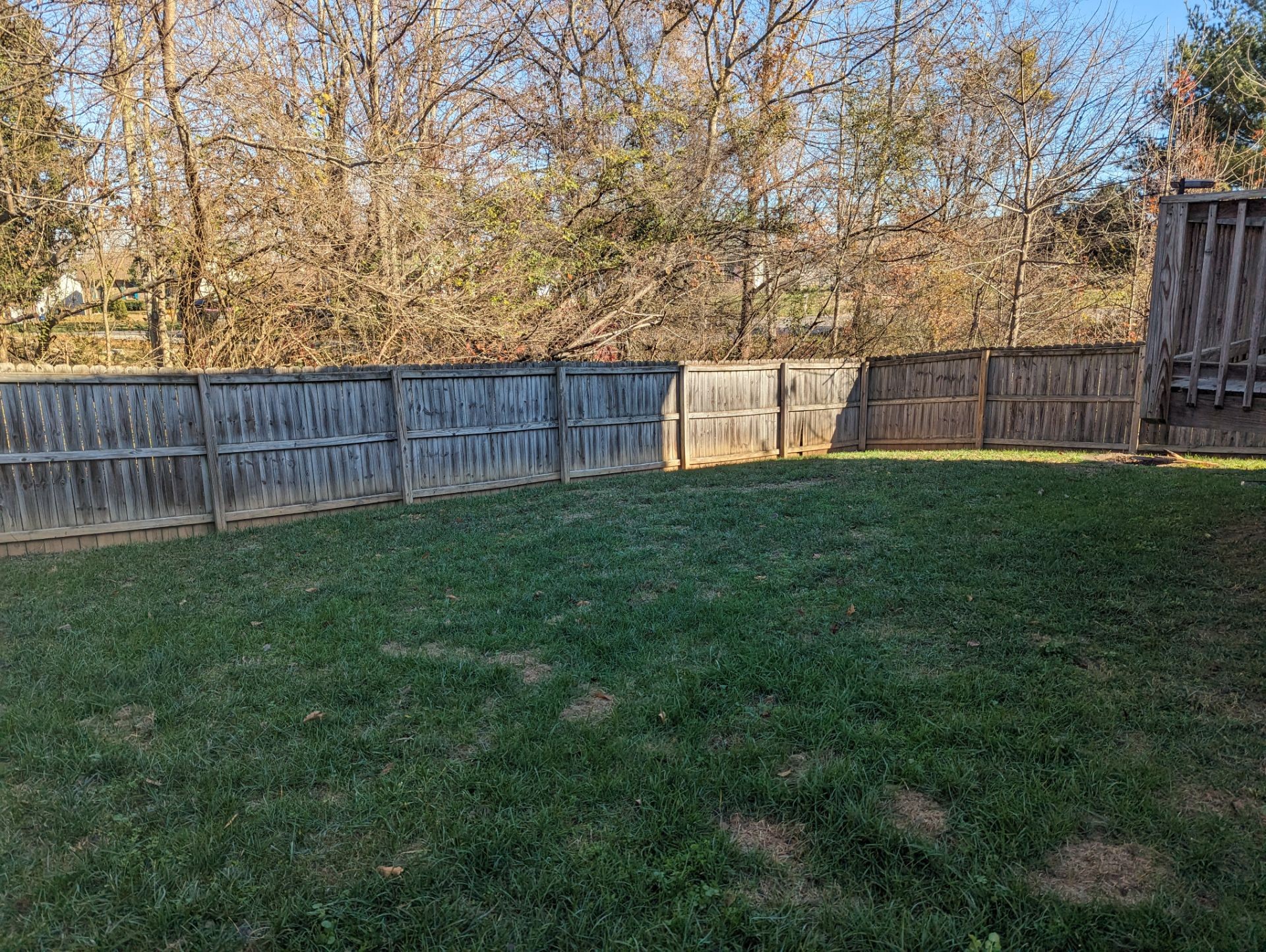 1801 Jackie Lorraine Dr Property Photo 6