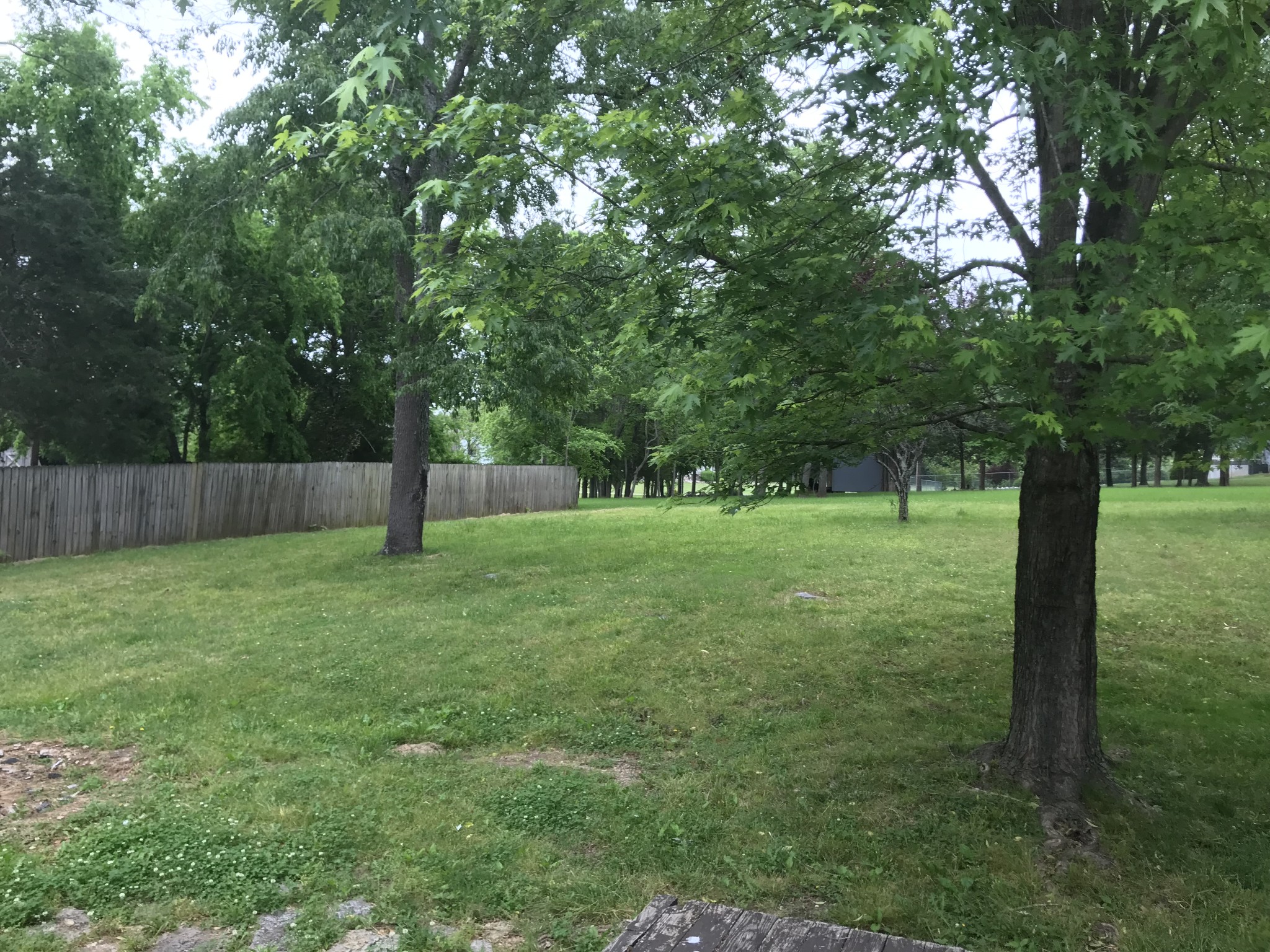 1097 Trice Rd Property Photo 6