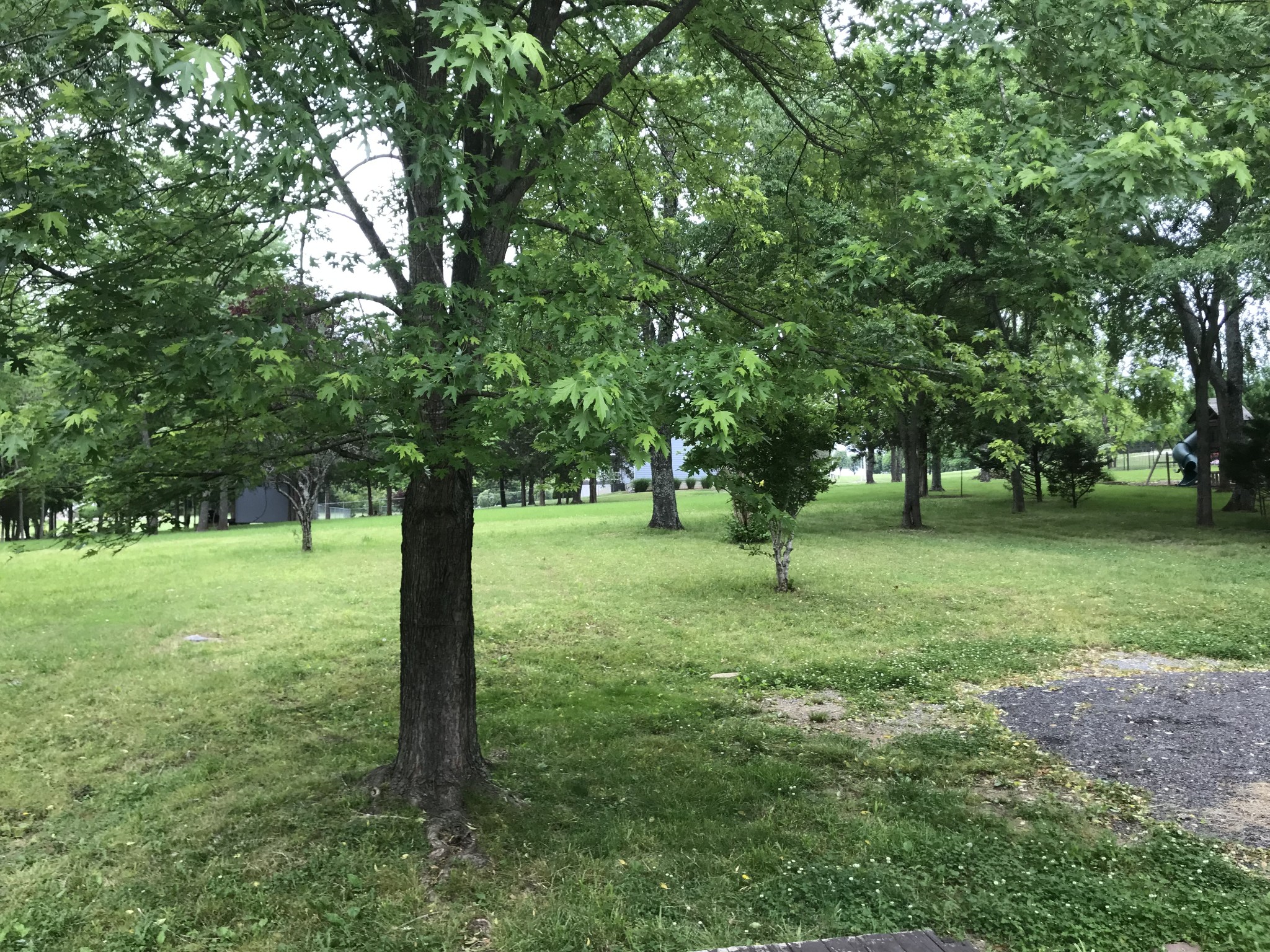 1097 Trice Rd Property Photo 8