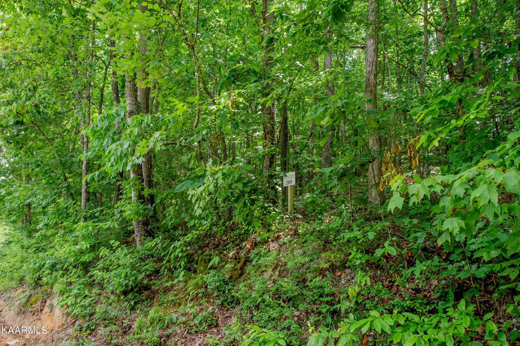 4521 Huffine Rd Property Photo 1