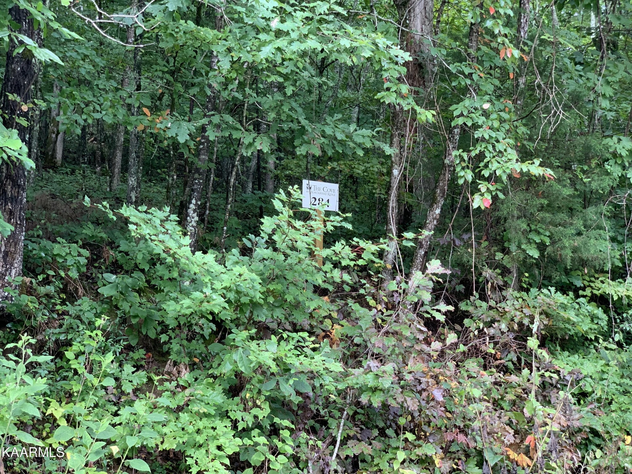 4507 Huffine Rd Property Photo 1