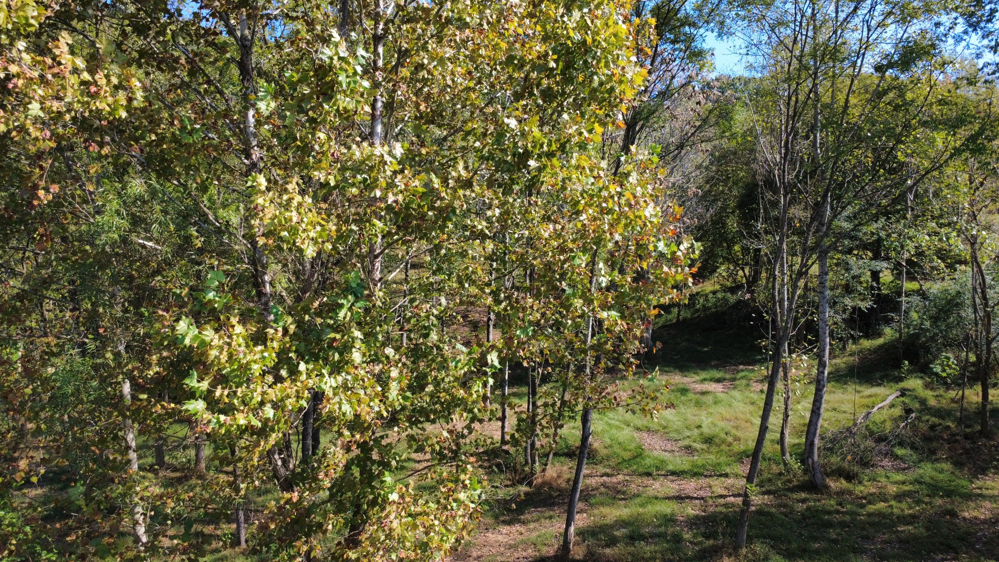 153 Lena Loop Property Photo 2