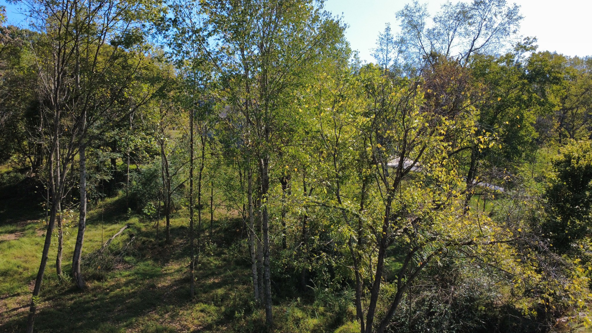 153 Lena Loop Property Photo 3