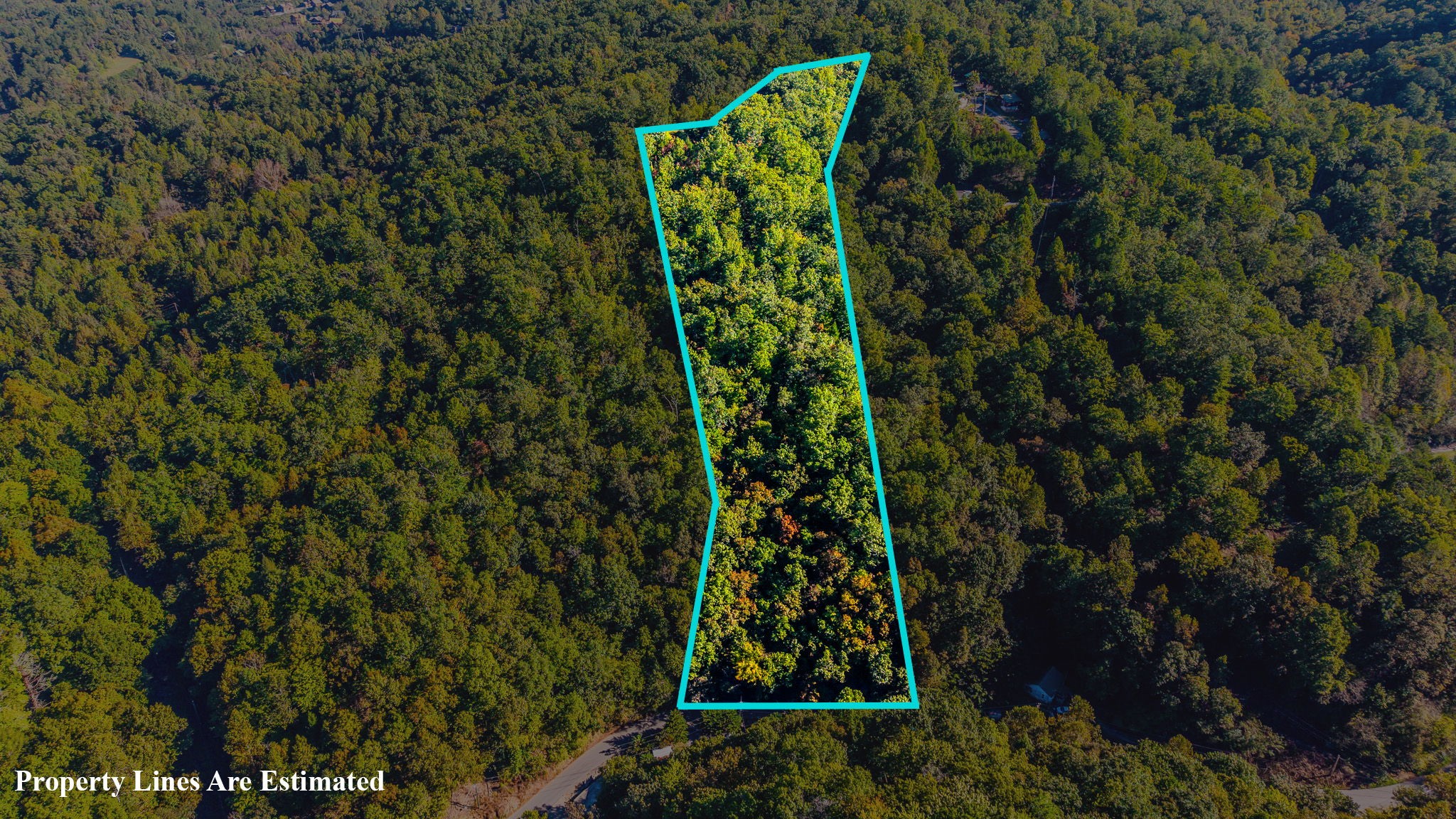 429 King Branch Rd Property Photo 13