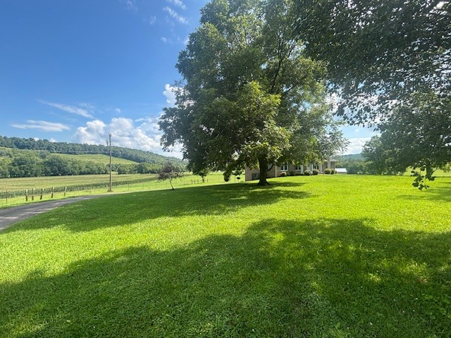 4801 Beech Hill Rd Property Photo 8