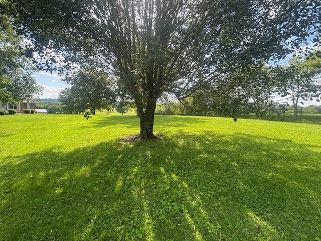 4801 Beech Hill Rd Property Photo 9
