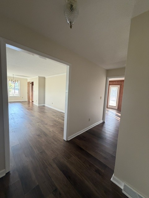 4801 Beech Hill Rd Property Photo 11