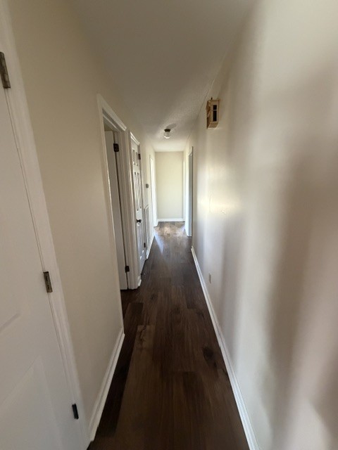 4801 Beech Hill Rd Property Photo 15