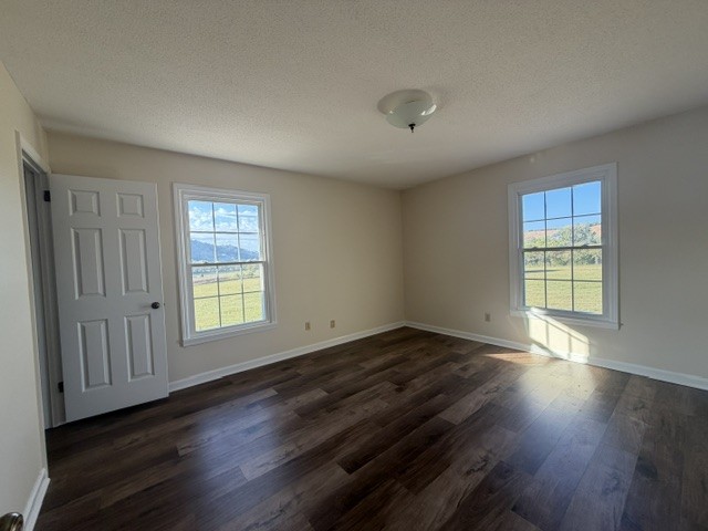 4801 Beech Hill Rd Property Photo 19