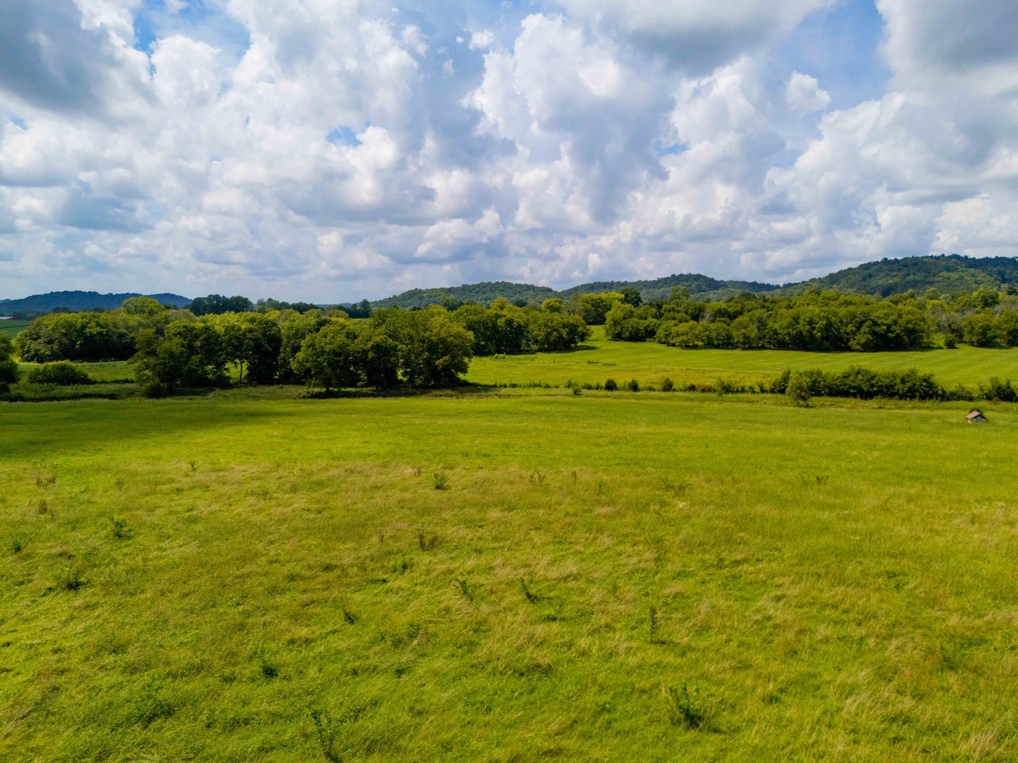 1375 Kittrell Rd Property Photo 15