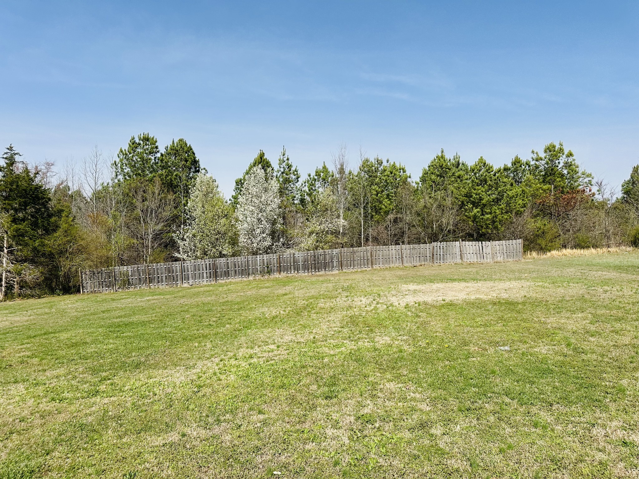 874 Delmont Church Rd Property Photo 39
