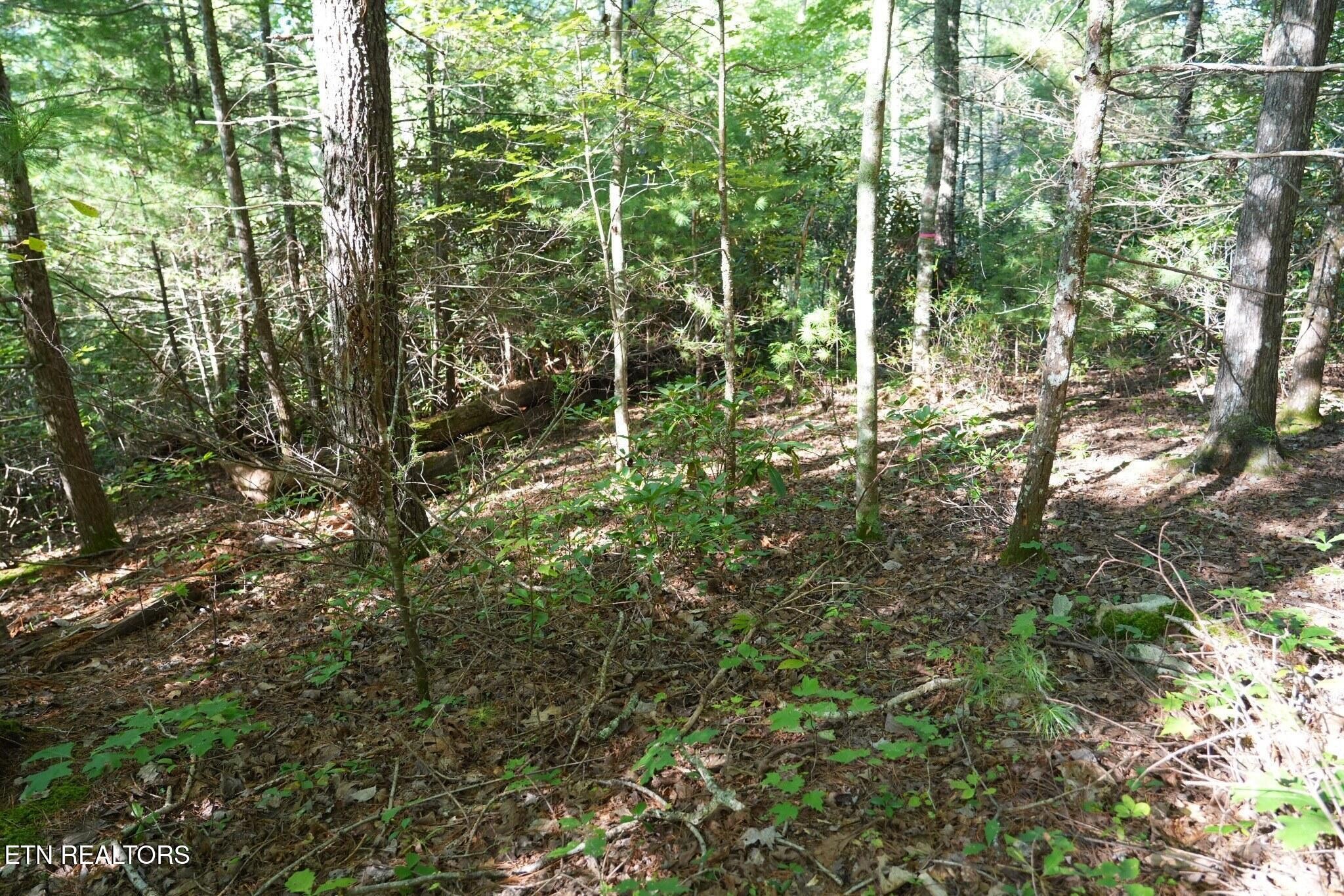 3738 Oliver Way Property Photo 9