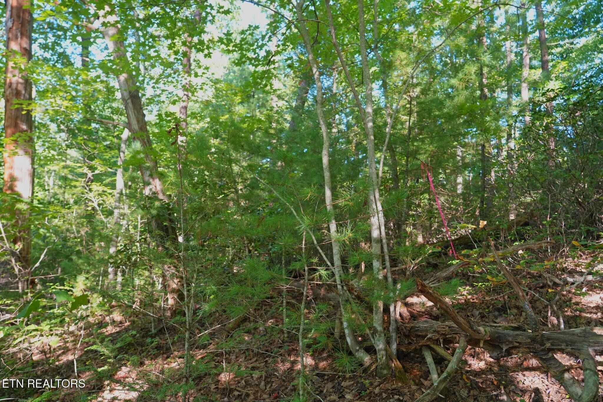 3738 Oliver Way Property Photo 11
