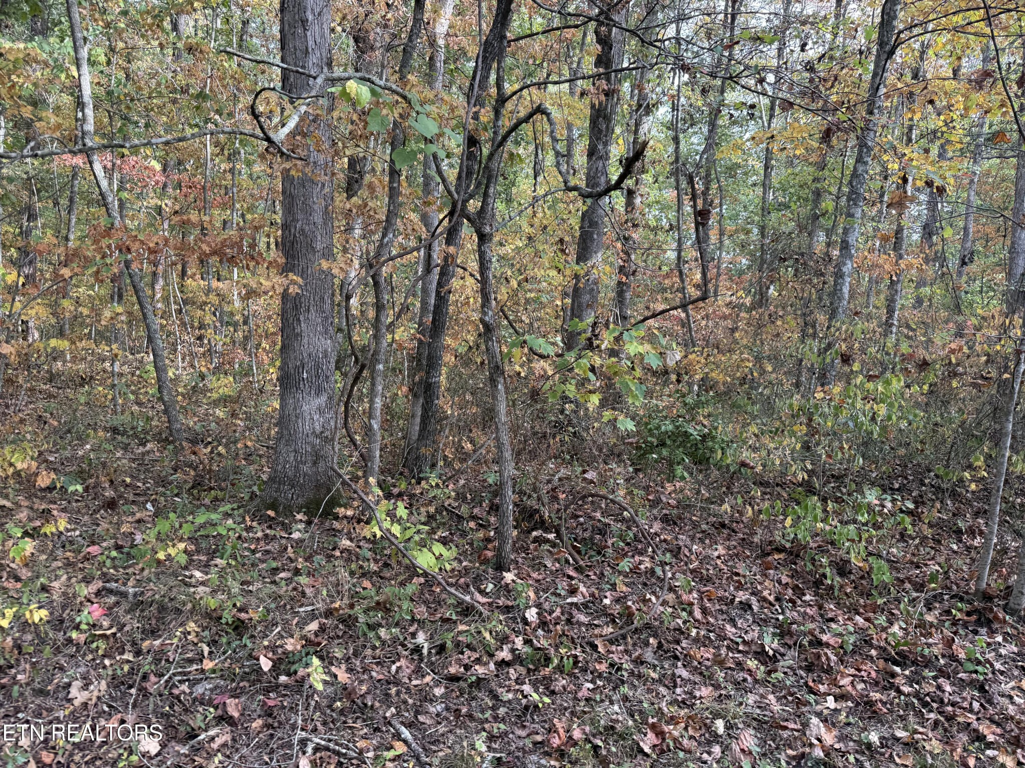 0 Copley Cemetery Rd Property Photo 1