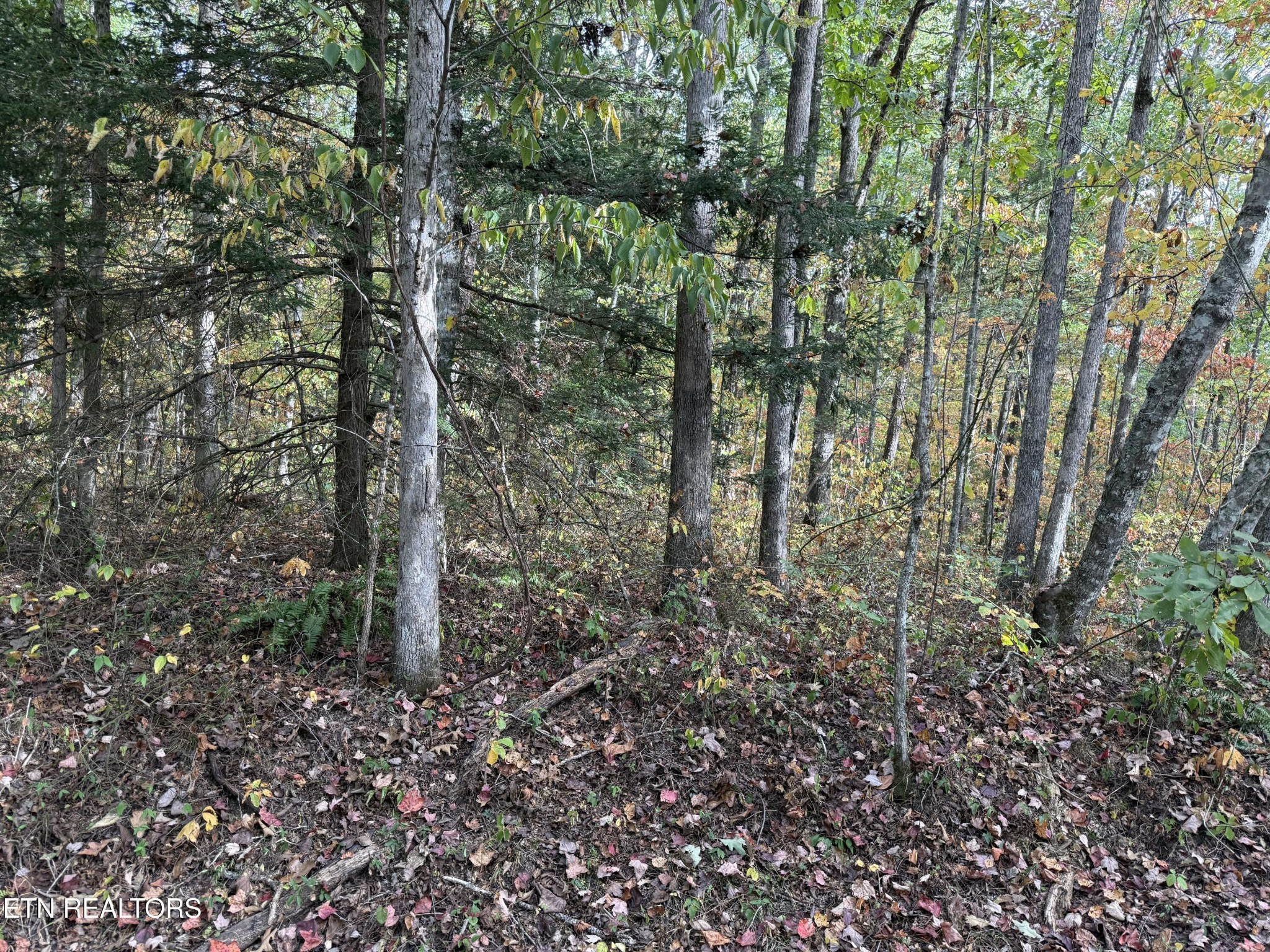 0 Copley Cemetery Rd Property Photo 2