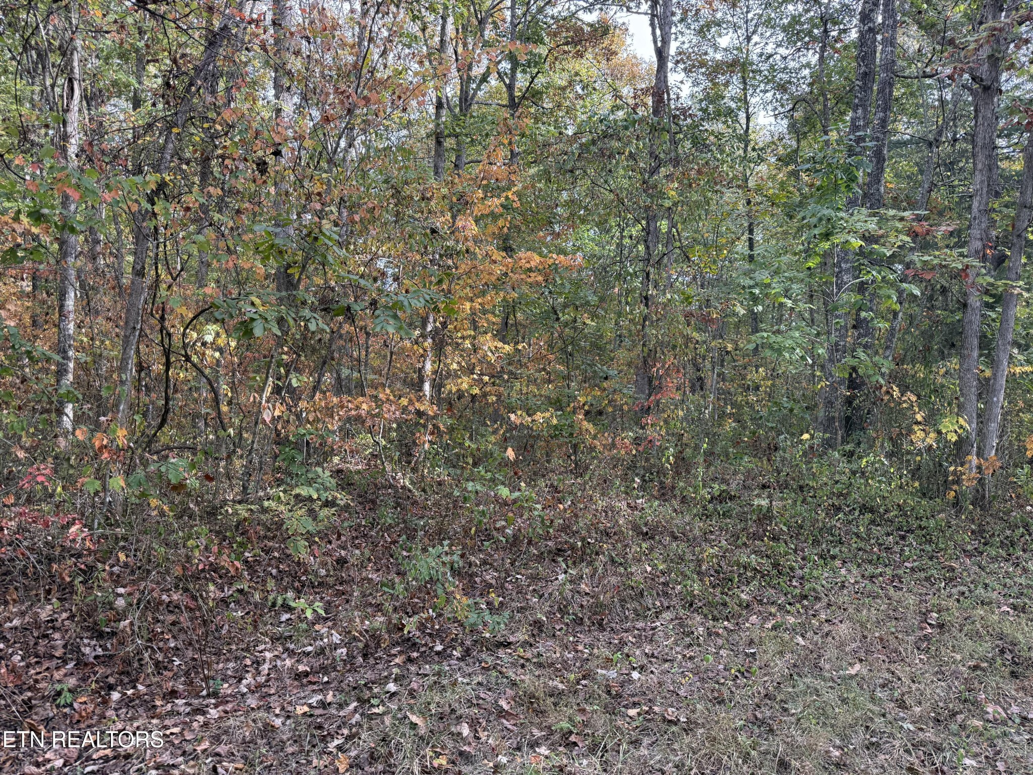 0 Copley Cemetery Rd Property Photo 3