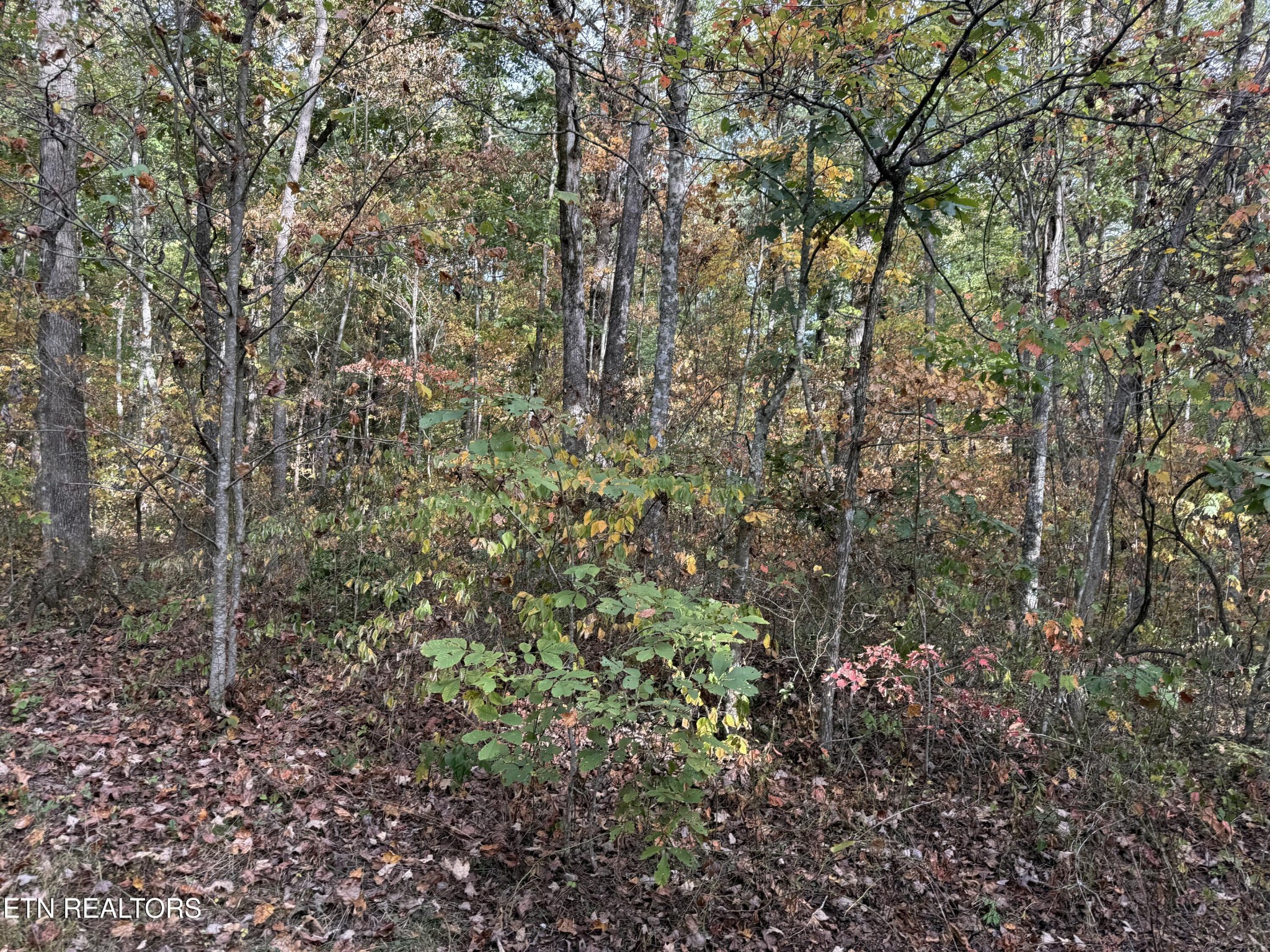 0 Copley Cemetery Rd Property Photo 4