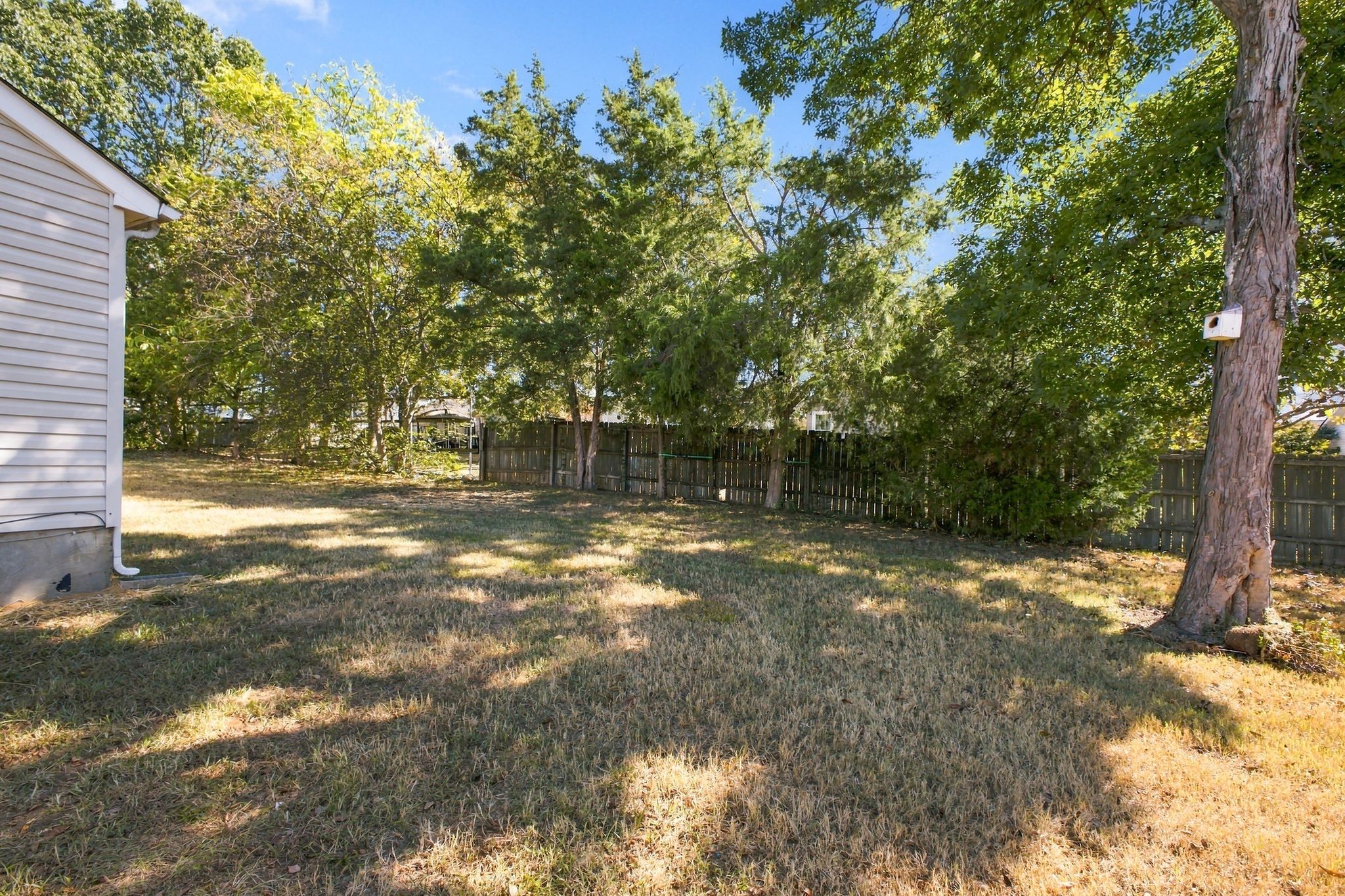 509 Dellwood Dr Property Photo 15