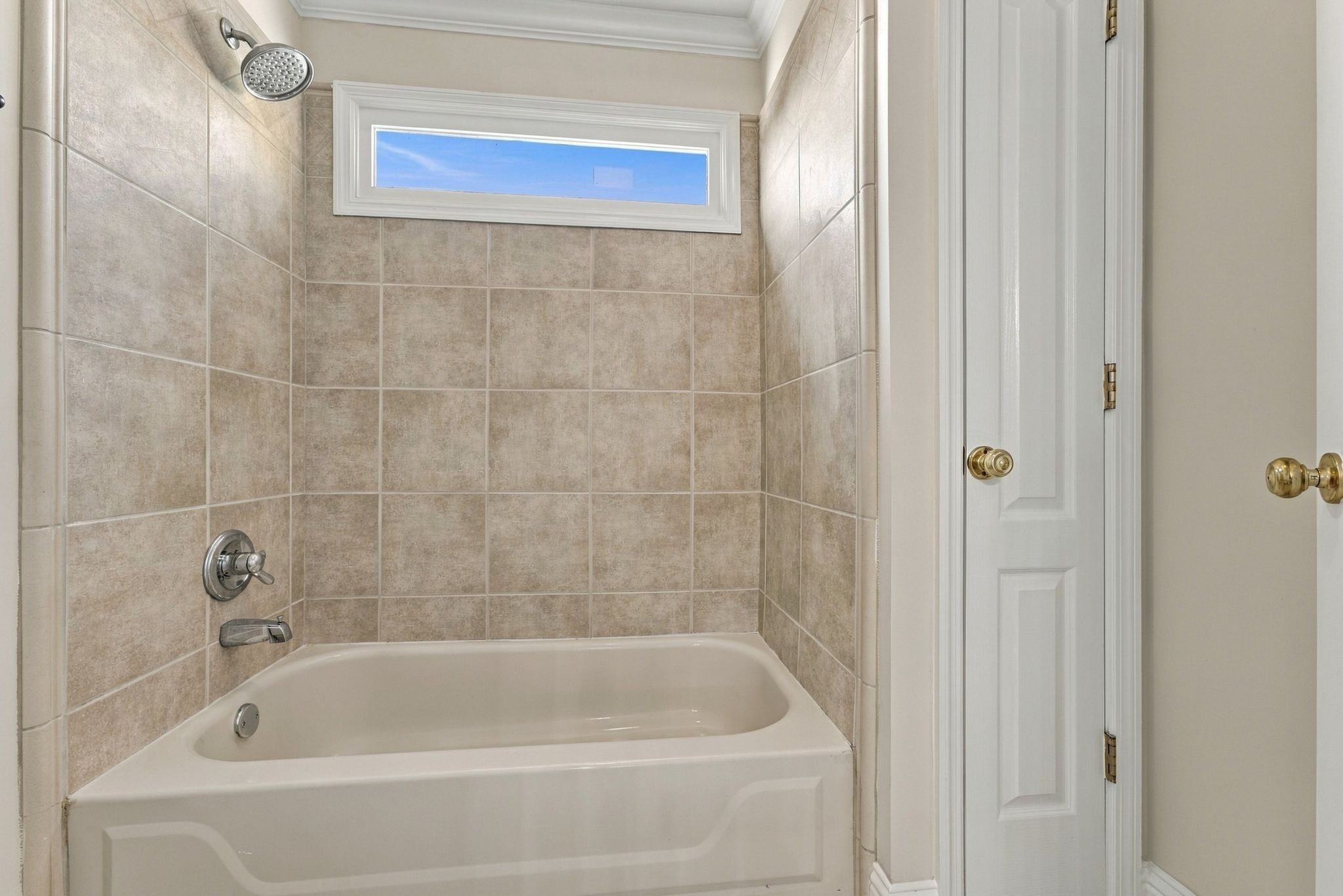 237 Halberton Dr Property Photo 48