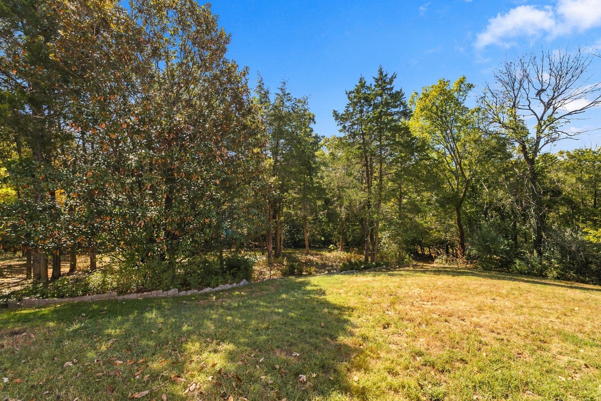 237 Halberton Dr Property Photo 84
