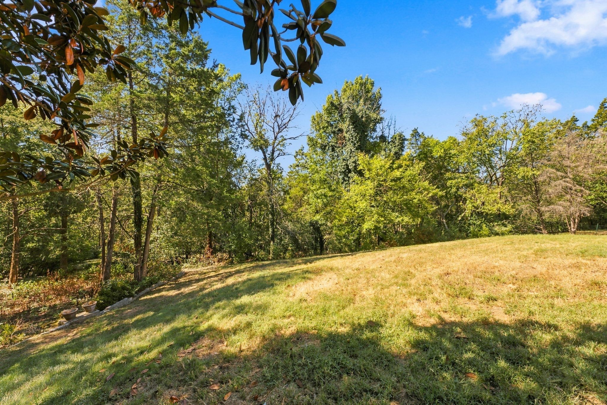 237 Halberton Dr Property Photo 85