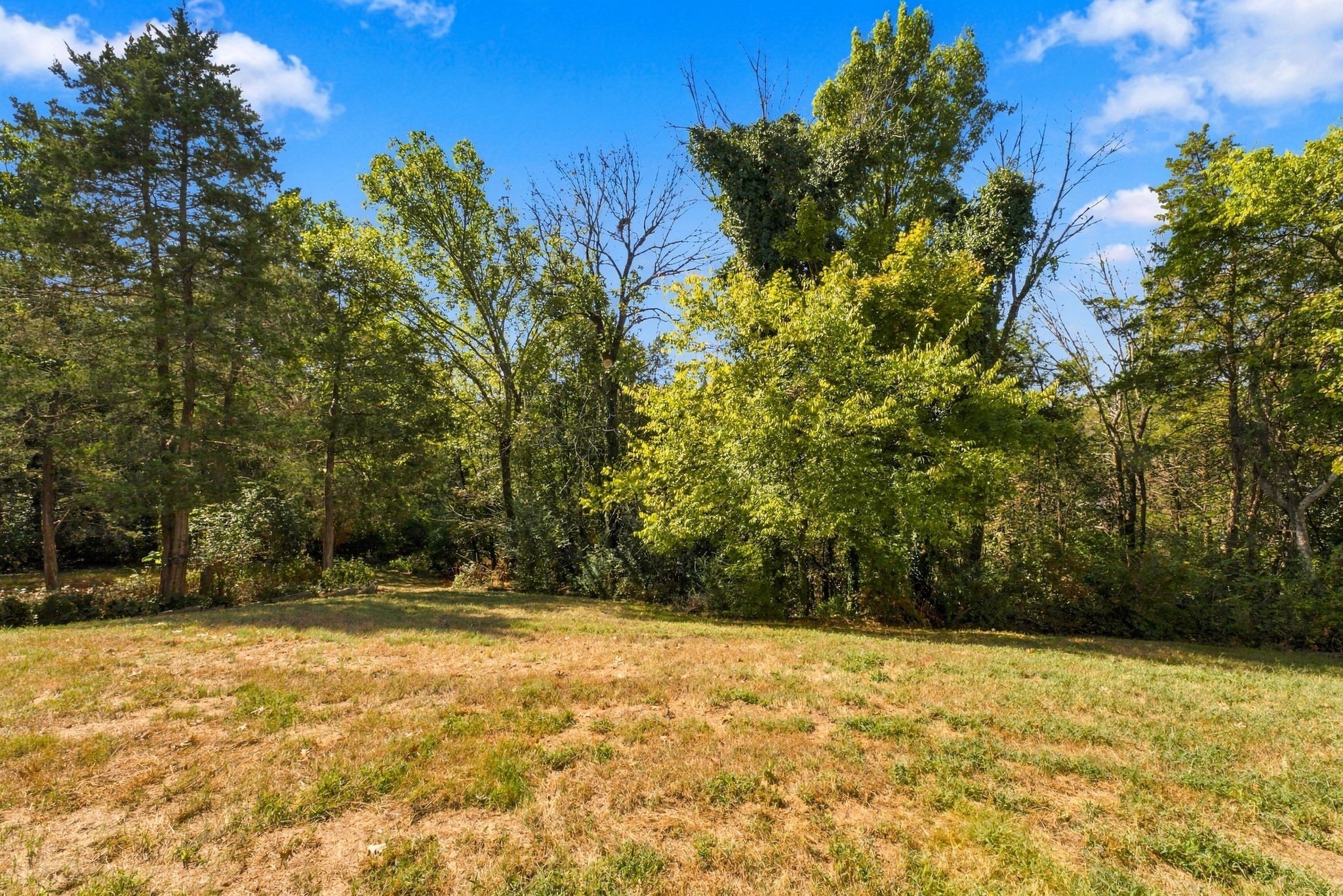 237 Halberton Dr Property Photo 86