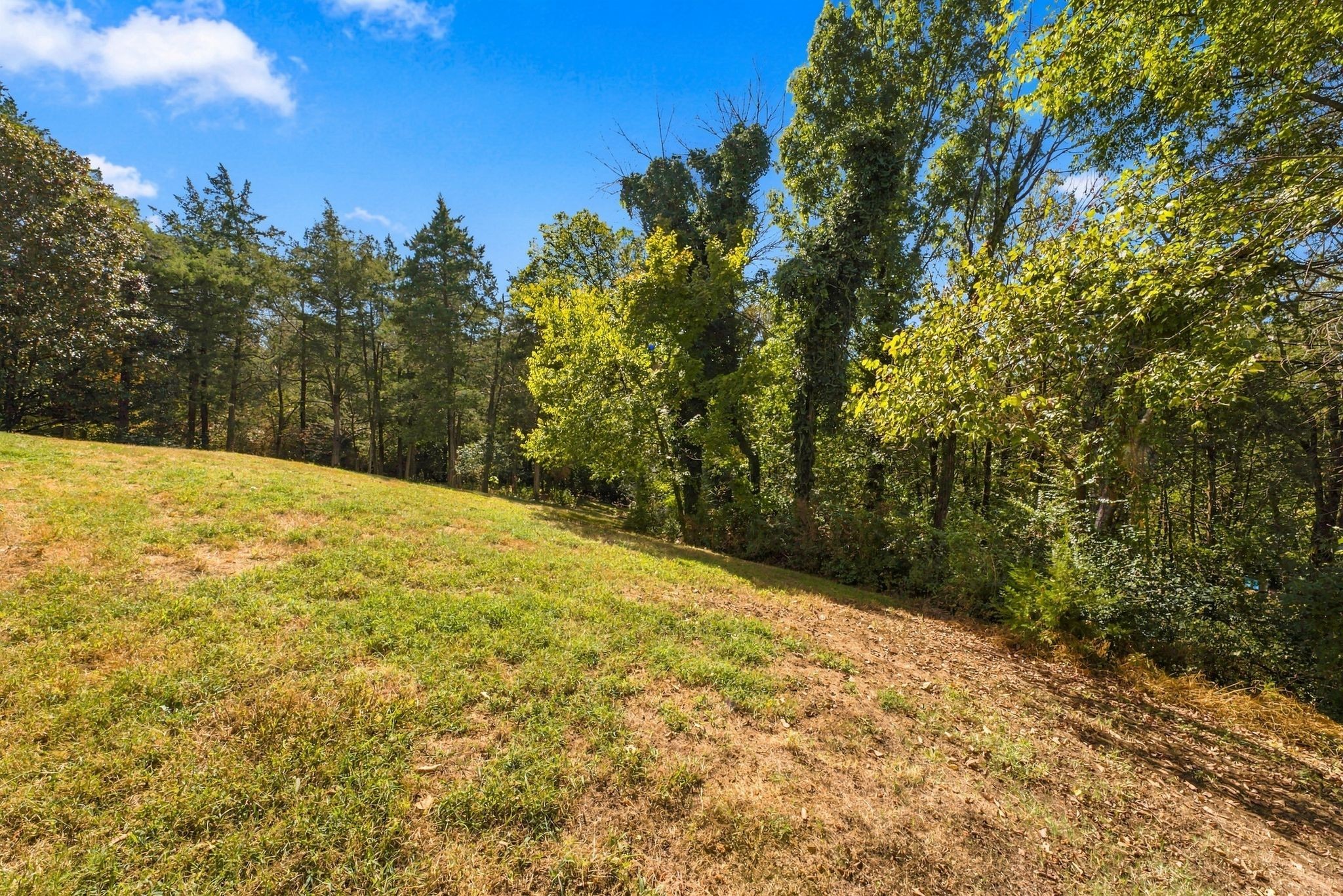 237 Halberton Dr Property Photo 87