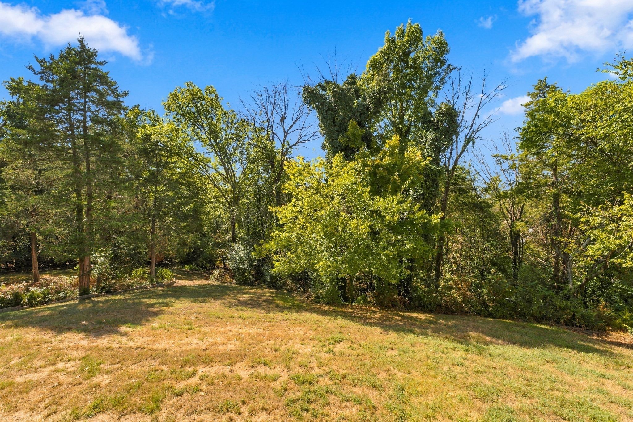 237 Halberton Dr Property Photo 92