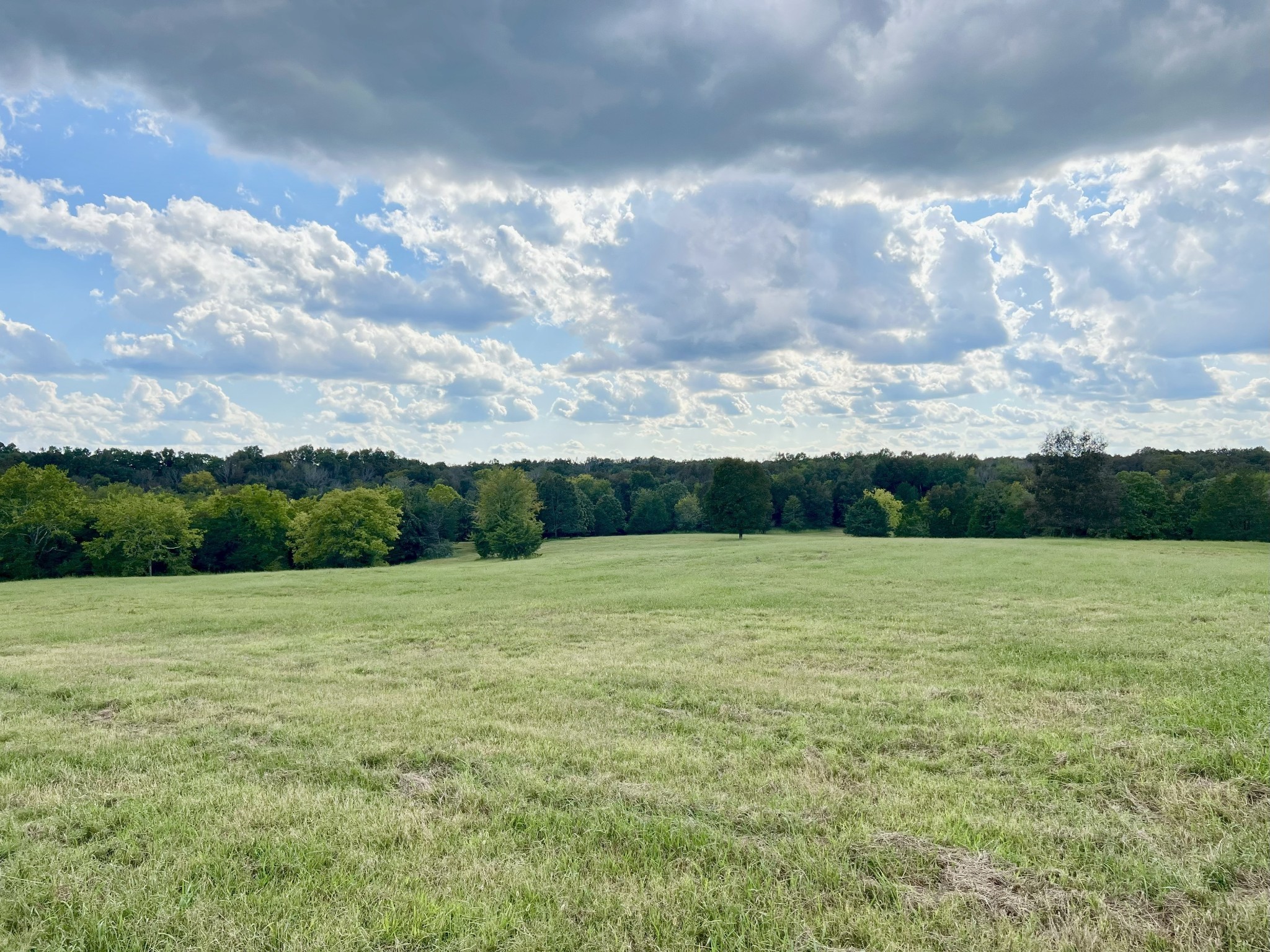 4840 Joe Peay Rd Property Photo 3