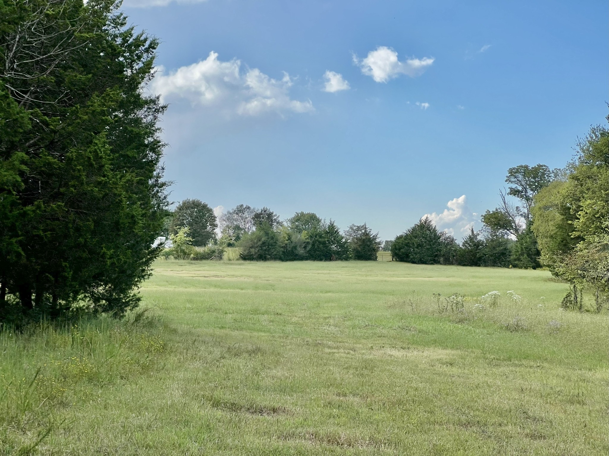 4840 Joe Peay Rd Property Photo 4