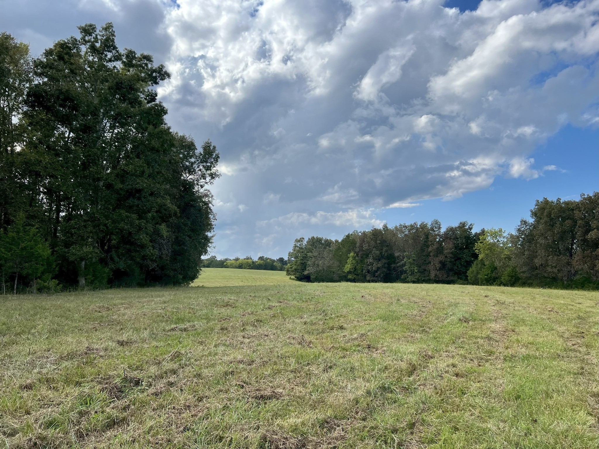 4840 Joe Peay Rd Property Photo 5